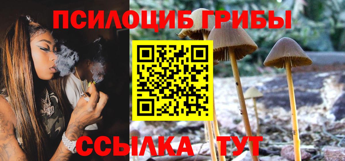 Галлюциногенные грибы MAGIC MUSHROOMS Йошкар-Ола
