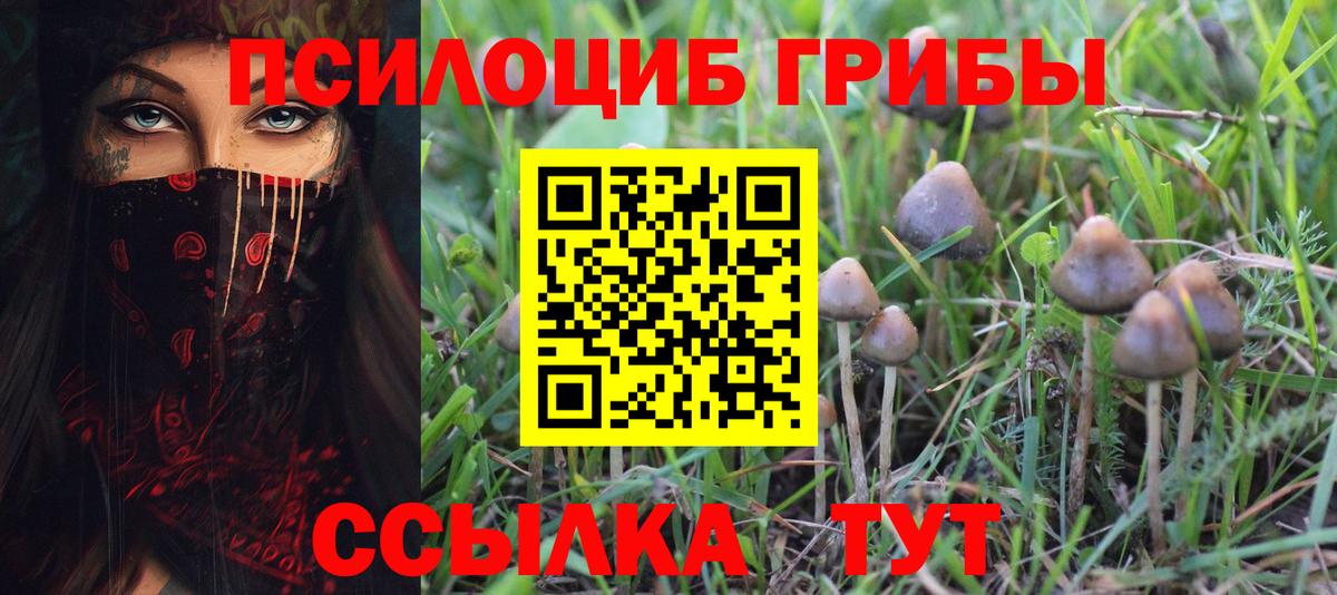 Псилоцибиновые грибы Magic Shrooms Йошкар-Ола