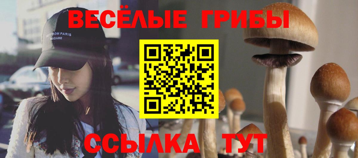 Галлюциногенные грибы ЛСД  Йошкар-Ола 